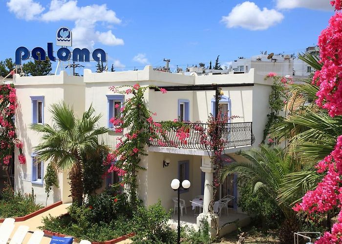 Club Paloma Apart Hotel Gumbet 3 Turkey Rates From 35